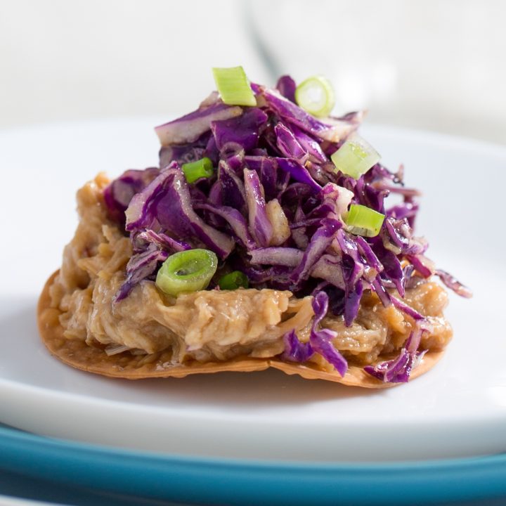 Pulled Chicken Wonton Crisps with Asian Slaw